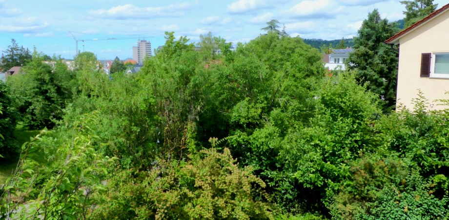 Aussicht Richtung Stadt Einfamilienhaus Reutlingen