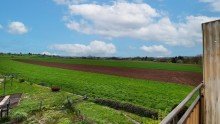 Balkonaussicht Renovierungsbed�rftiges Reihenhaus mit toller Aussicht in Mittelstadt