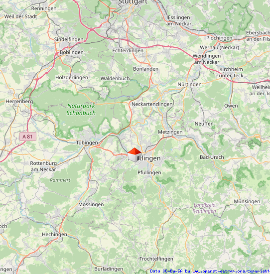 Regionalplan Ladenlokal Reutlingen
