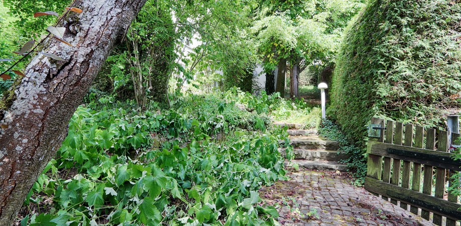 Aussenanlage Wohngrundst�ck Reutlingen