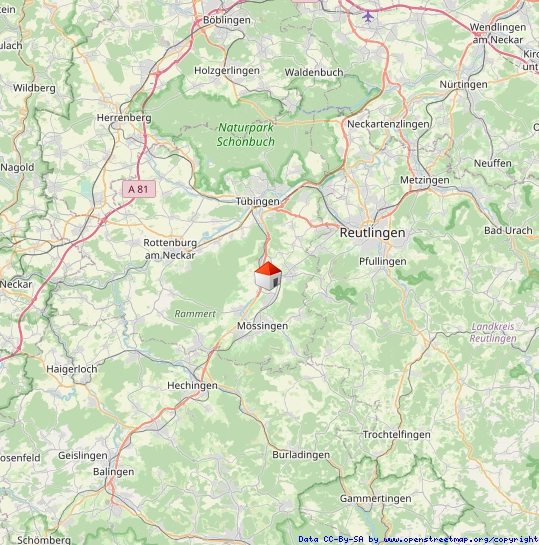 Regionalplan Einfamilienhaus Du�lingen